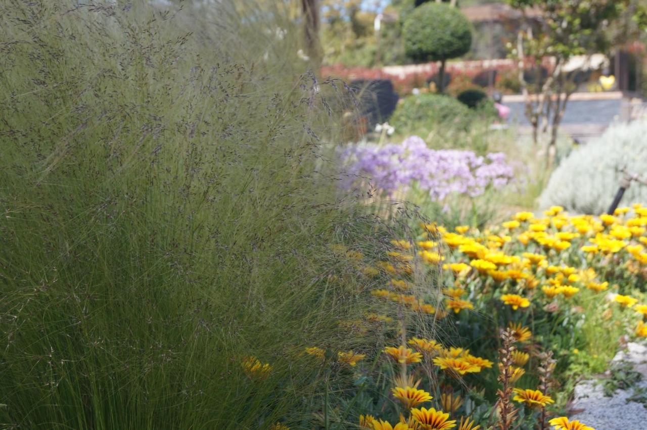 Les Jardins De Santa Giulia - Charmante Chambre D'Hote ปอร์โต-เวคคีโอ ภายนอก รูปภาพ