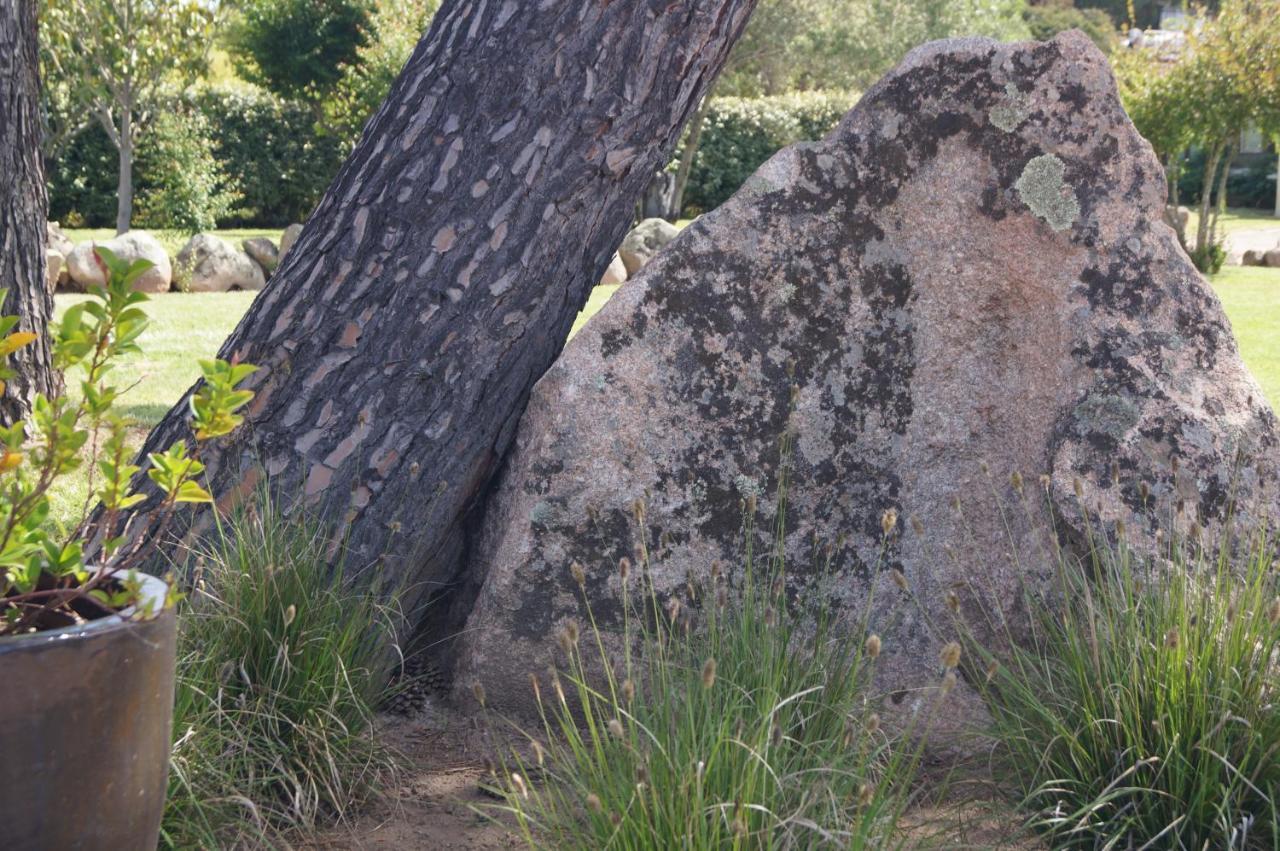 Les Jardins De Santa Giulia - Charmante Chambre D'Hote ปอร์โต-เวคคีโอ ภายนอก รูปภาพ
